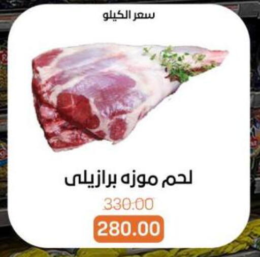 available at بيت الجملة in Egypt - القاهرة