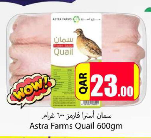 available at احلى مارت in قطر - الريان