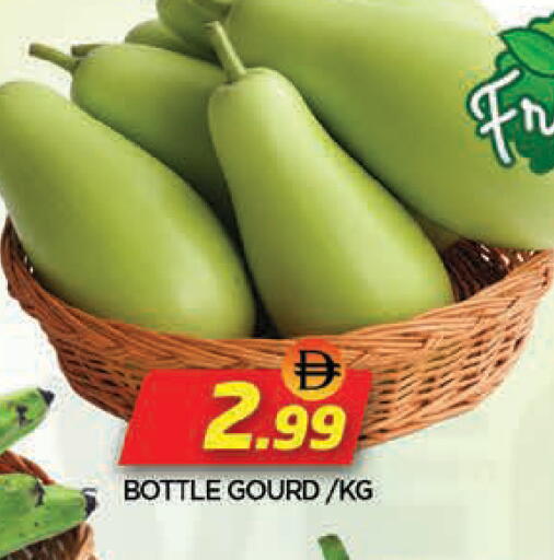 available at المدينة in الإمارات العربية المتحدة , الامارات - الشارقة / عجمان