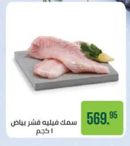 available at سعودي سوبرماركت in Egypt - القاهرة