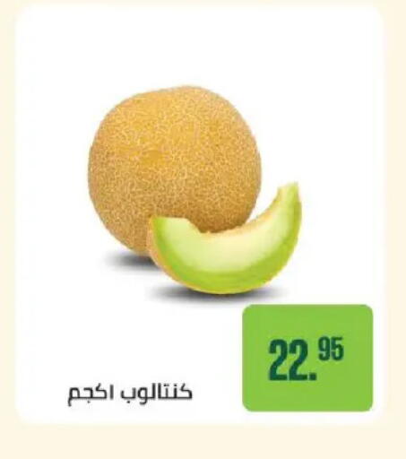 available at سعودي سوبرماركت in Egypt - القاهرة