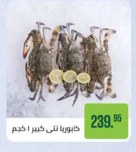 available at سعودي سوبرماركت in Egypt - القاهرة