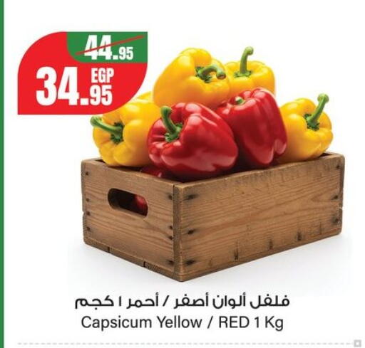 Capsicum from Egypt available at جيان مصر in Egypt - القاهرة