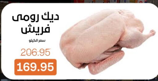 available at بيت الجملة in Egypt - القاهرة