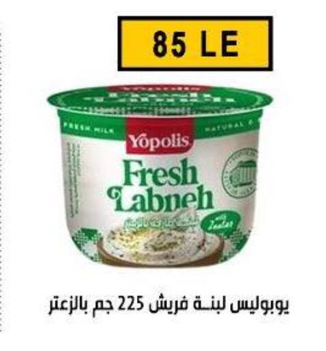 available at Ben Seleman in Egypt - Cairo