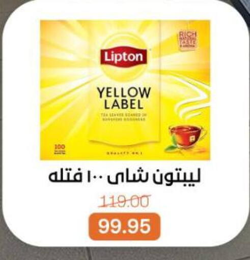 available at بيت الجملة in Egypt - القاهرة