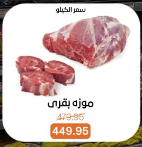 available at بيت الجملة in Egypt - القاهرة