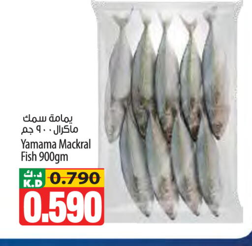 Mango available at مانجو هايبرماركت in الكويت - مدينة الكويت