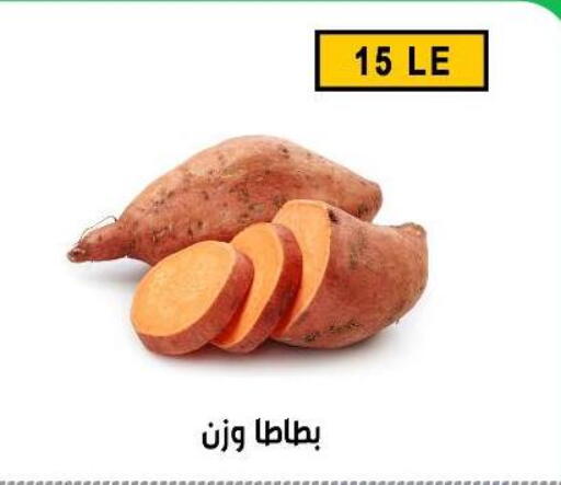 available at Ben Seleman in Egypt - Cairo