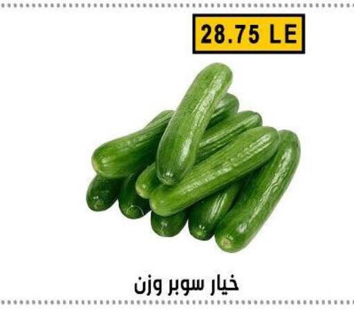 available at Ben Seleman in Egypt - Cairo