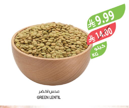available at Farm  in KSA, Saudi Arabia, Saudi - Yanbu