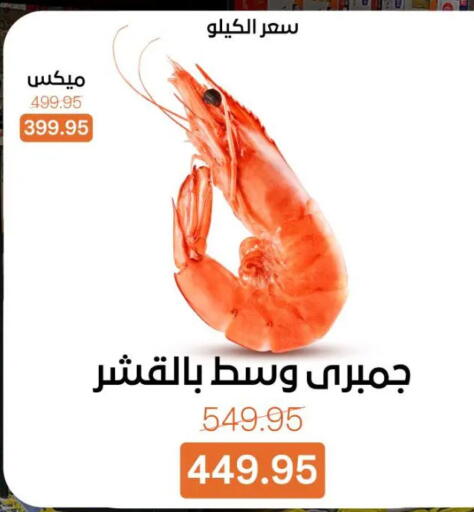 available at جملة ماركت in Egypt - القاهرة