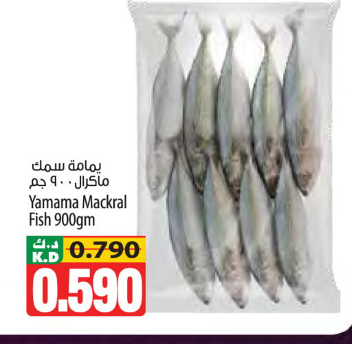 Mango available at مانجو هايبرماركت in الكويت - مدينة الكويت