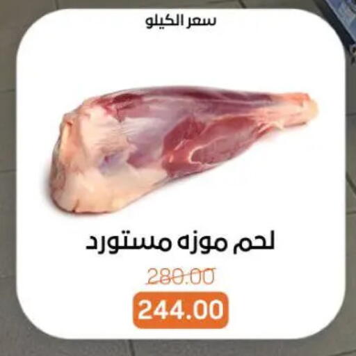 available at جملة ماركت in Egypt - القاهرة