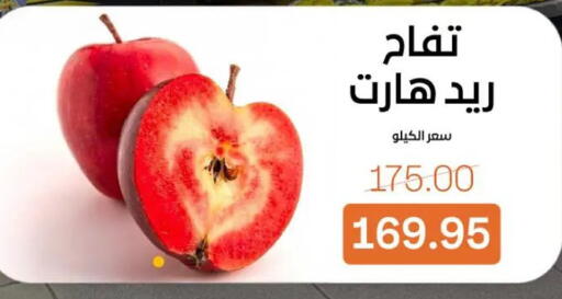 available at جملة ماركت in Egypt - القاهرة