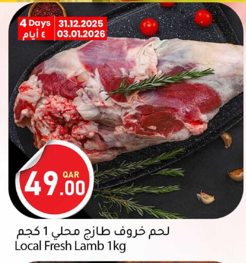 available at دانا ماركت in قطر - الدوحة