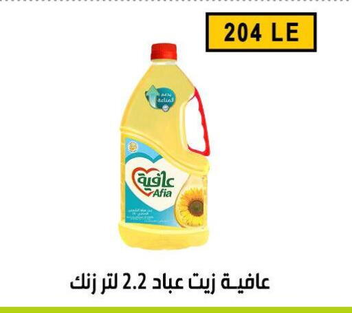 available at Ben Seleman in Egypt - Cairo