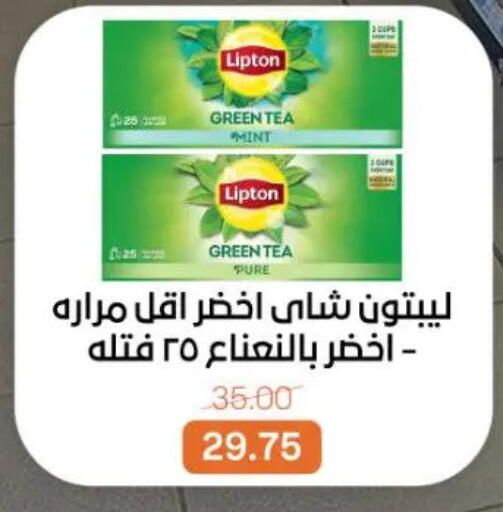 Mint available at جملة ماركت in Egypt - القاهرة