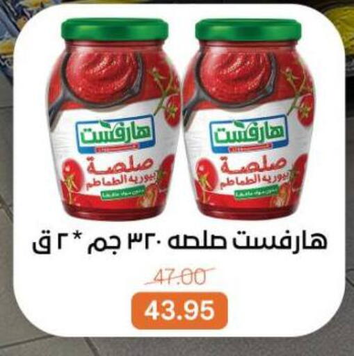 available at Beit El Gomla in Egypt - Cairo