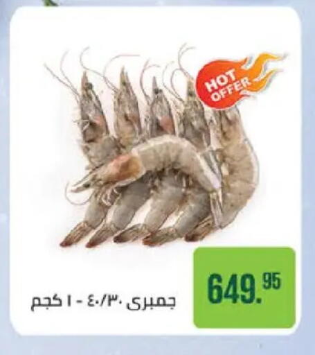 available at سعودي سوبرماركت in Egypt - القاهرة