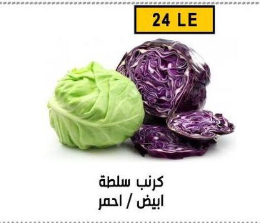 available at Ben Seleman in Egypt - Cairo