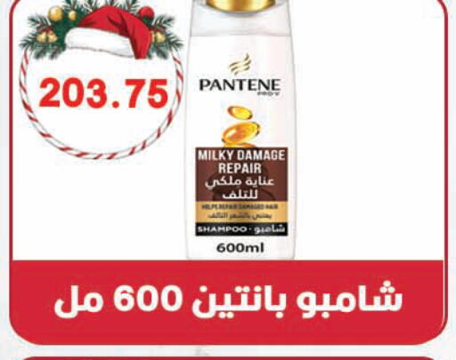 available at هايبر القدس in Egypt - القاهرة