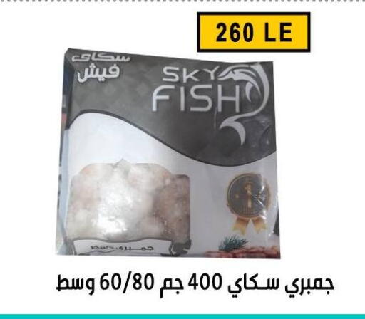 available at Ben Seleman in Egypt - Cairo