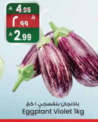 Eggplant available at City Flower in KSA, Saudi Arabia, Saudi - Sakaka