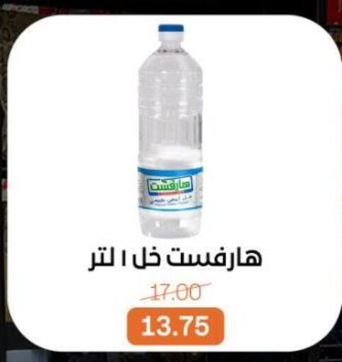 available at Beit El Gomla in Egypt - Cairo