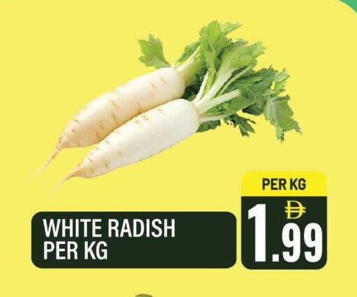 Radish available at دريم لاند in الإمارات العربية المتحدة , الامارات - الشارقة / عجمان