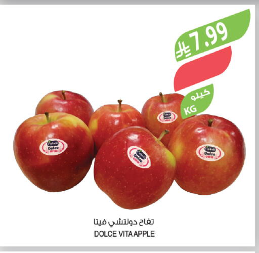 Apple available at Farm  in KSA, Saudi Arabia, Saudi - Sakaka