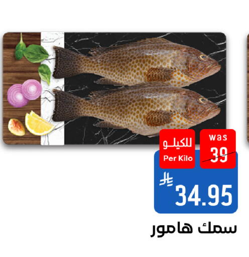 available at شبرا الطائف in مملكة العربية السعودية, السعودية, سعودية - الطائف