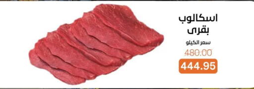 available at جملة ماركت in Egypt - القاهرة