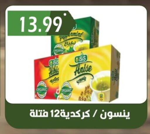 Anise available at هايبر القدس in Egypt - القاهرة