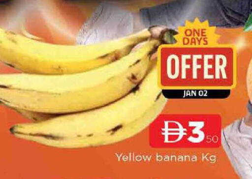 Banana available at المدينة in الإمارات العربية المتحدة , الامارات - الشارقة / عجمان