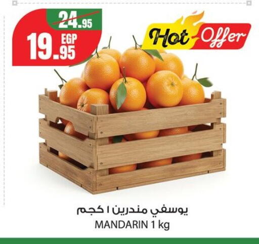 Mandarin from Egypt available at جيان مصر in Egypt - القاهرة
