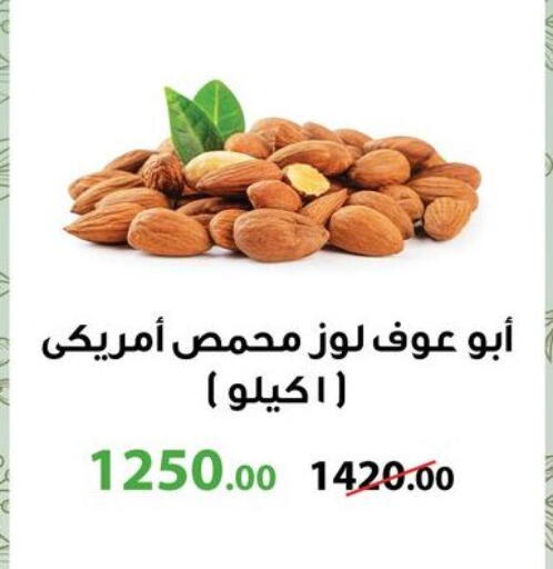 available at جيان مصر in Egypt - القاهرة