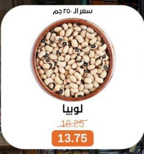 available at Beit El Gomla in Egypt - Cairo