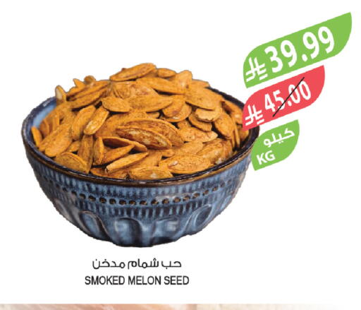 Melon available at Farm  in KSA, Saudi Arabia, Saudi - Tabuk