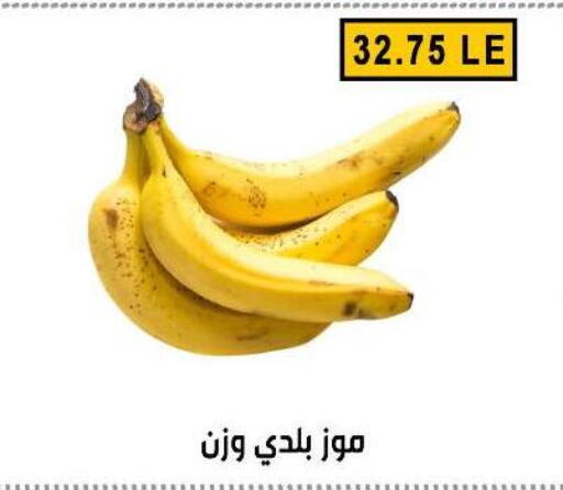 available at Ben Seleman in Egypt - Cairo