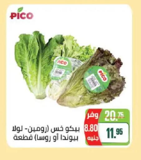 available at سعودي سوبرماركت in Egypt - القاهرة