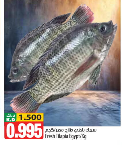 Mango available at مانجو هايبرماركت in الكويت - محافظة الأحمدي