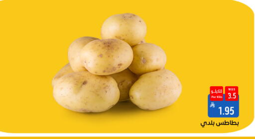 available at شبرا الطائف in مملكة العربية السعودية, السعودية, سعودية - الطائف