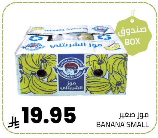 Banana available at أسواق أسترا in مملكة العربية السعودية, السعودية, سعودية - تبوك