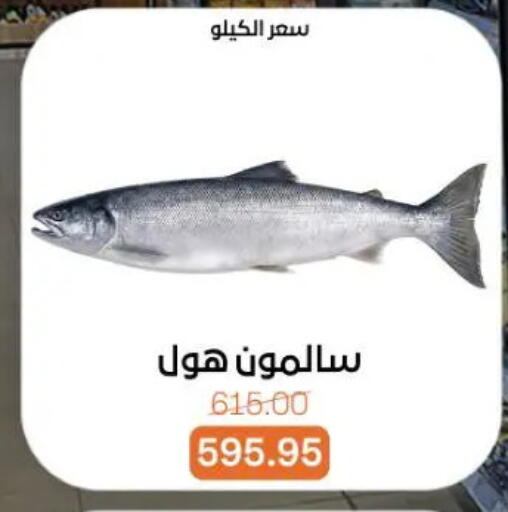 available at جملة ماركت in Egypt - القاهرة
