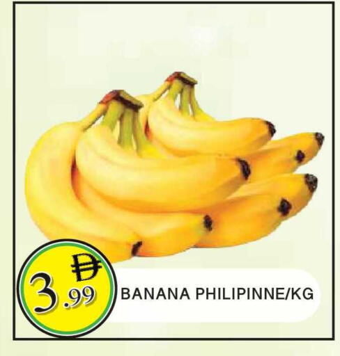 Banana available at المدينة in الإمارات العربية المتحدة , الامارات - الشارقة / عجمان