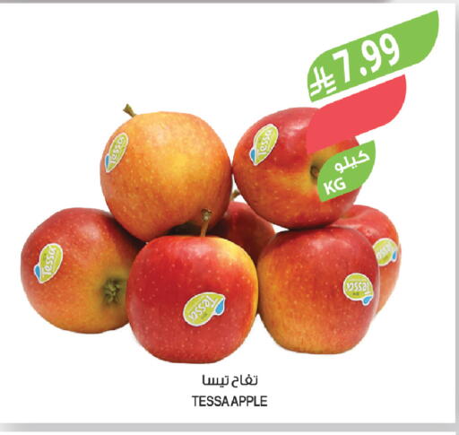 Apple available at Farm  in KSA, Saudi Arabia, Saudi - Tabuk