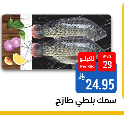 available at شبرا الطائف in مملكة العربية السعودية, السعودية, سعودية - الطائف