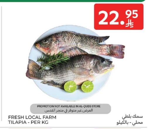 available at كارفور in مملكة العربية السعودية, السعودية, سعودية - جدة