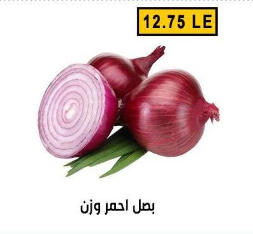 available at Ben Seleman in Egypt - Cairo